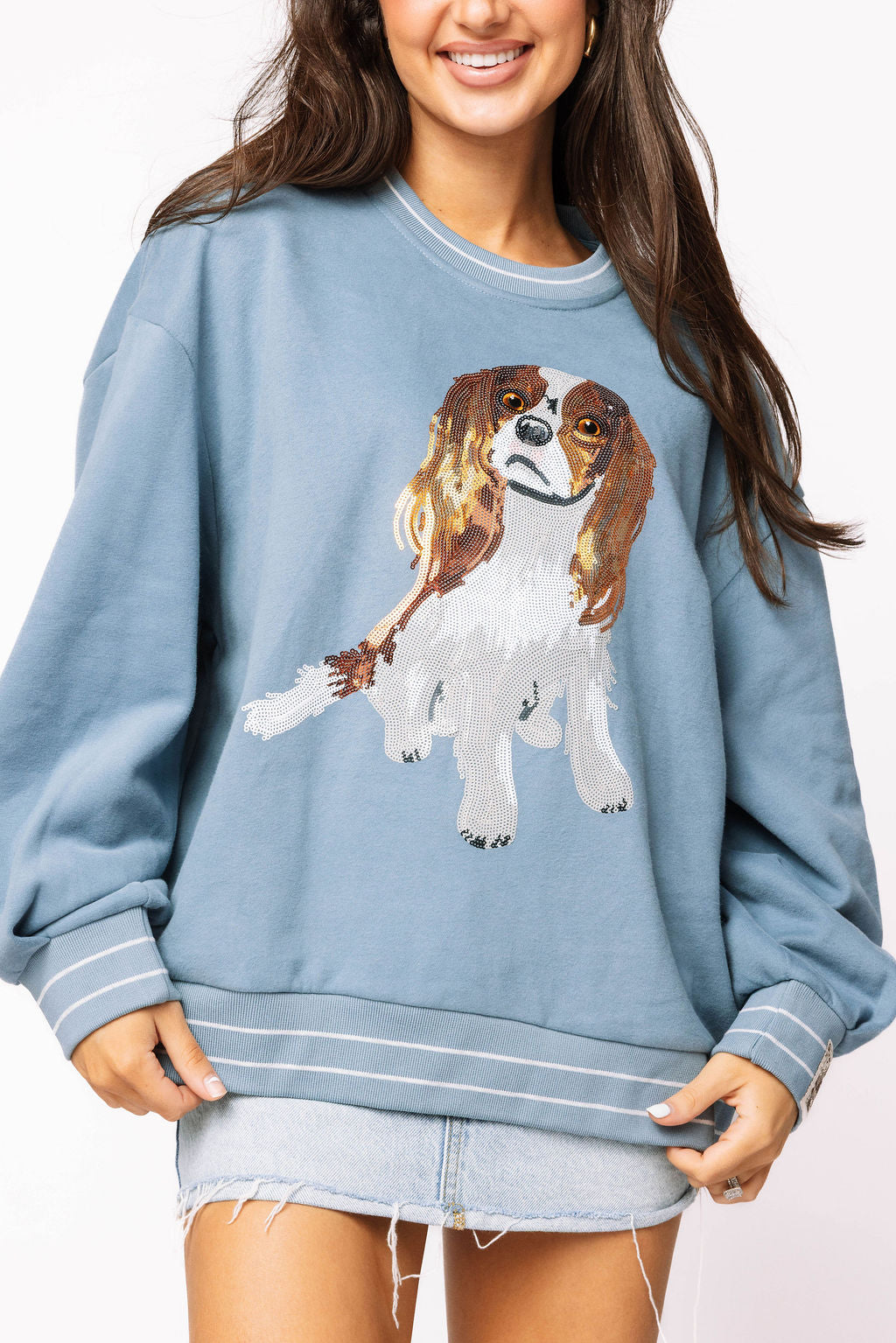 Dusty Blue King Charles Spaniel Sweatshirt