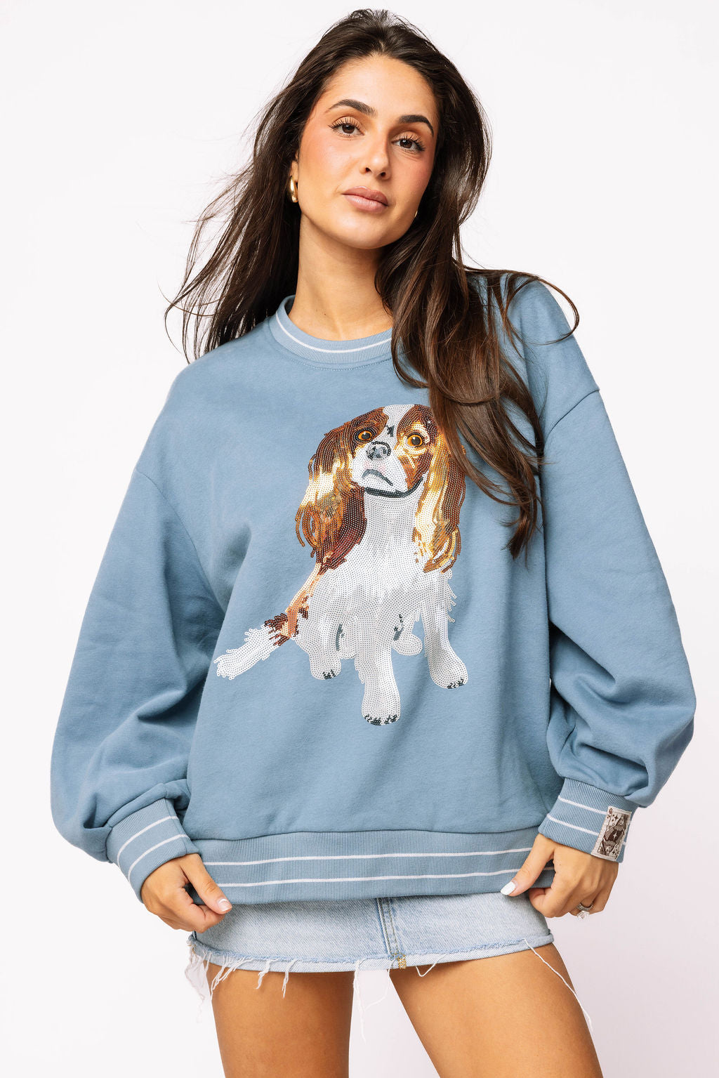 Dusty Blue King Charles Spaniel Sweatshirt