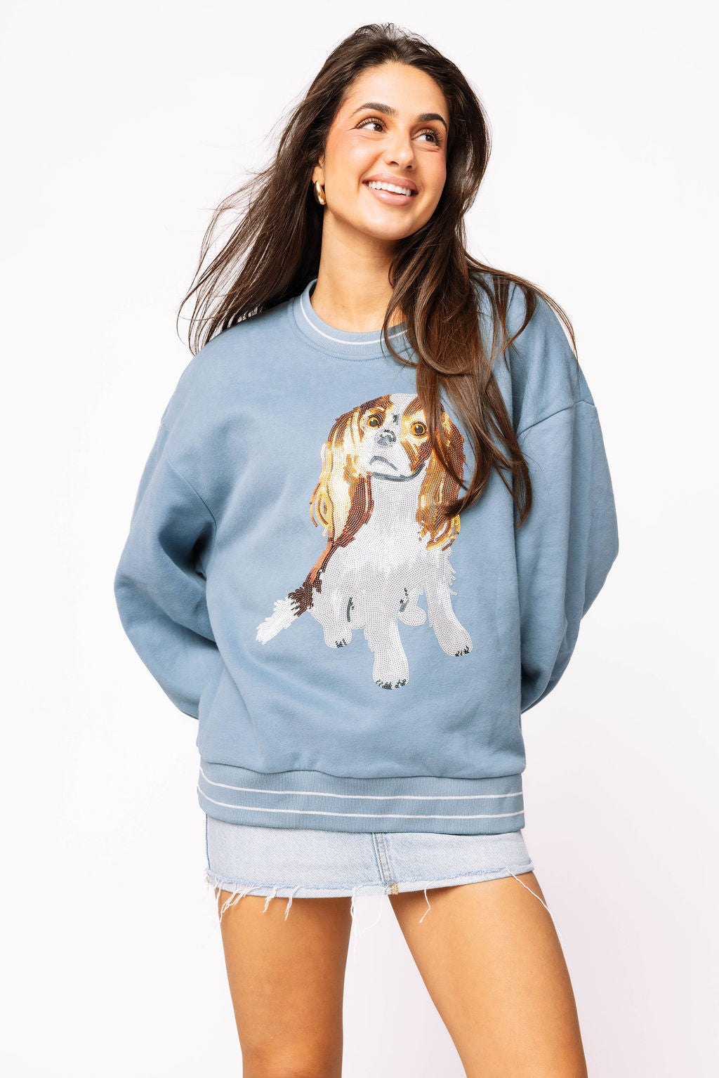 Dusty Blue King Charles Spaniel Sweatshirt
