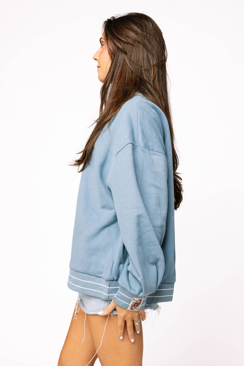 Dusty Blue King Charles Spaniel Sweatshirt