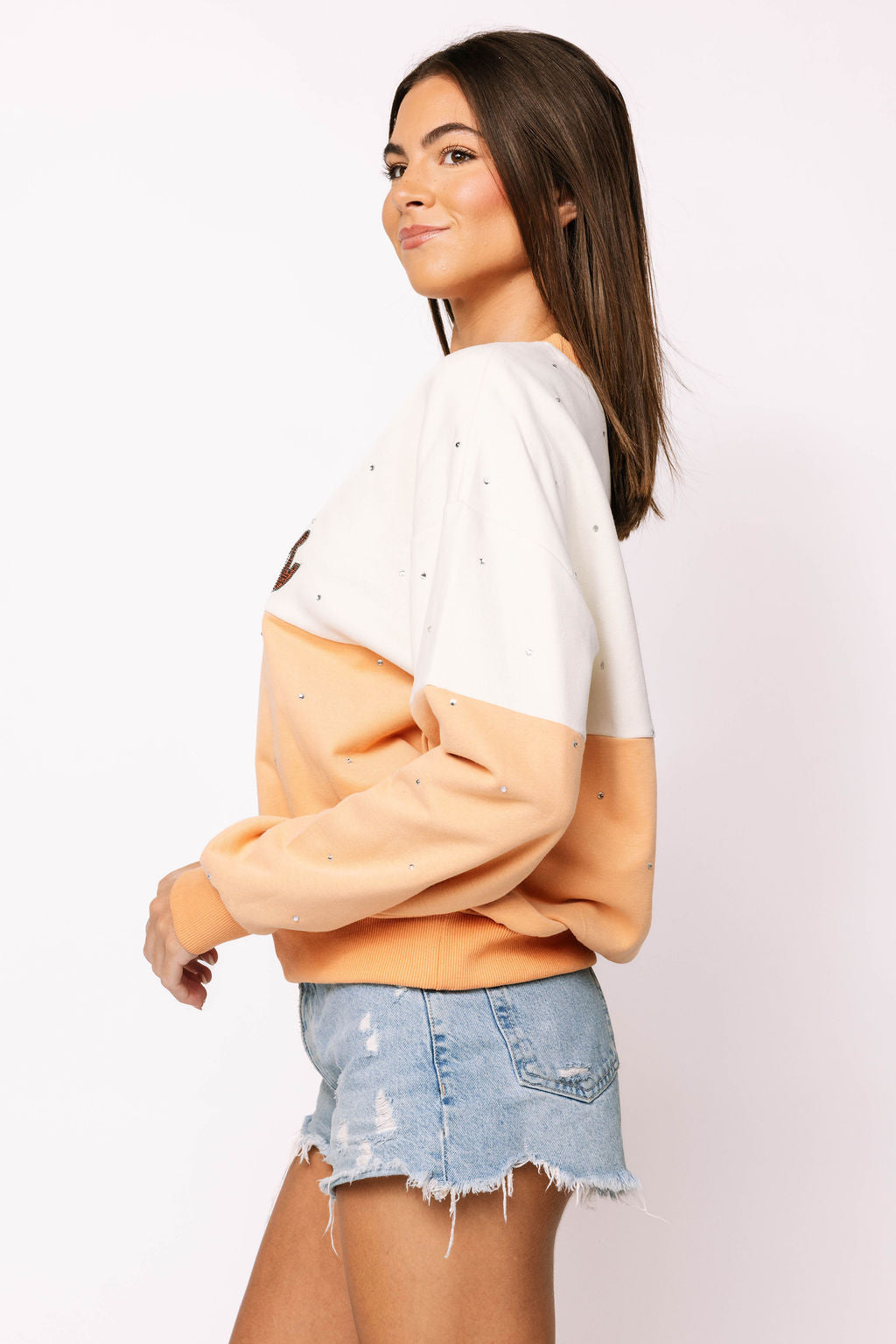 Licensed Texas Pastel Two Tone Sweatshirt