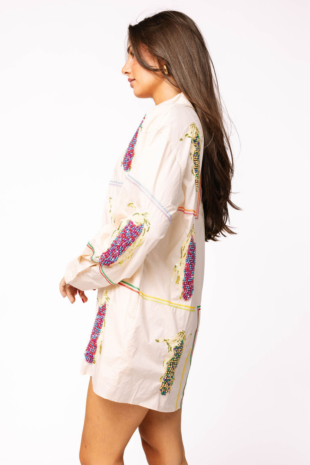 Beige Button Up Multi Corn Cotton Collar Dress